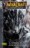 Sombras de Hielo / Warcraft - El Pozo del Sol 2 - c�mic