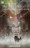 Batman: Arkham Asylum - c�mic