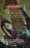 La Misi�n de Riverwind / Preludios de la Dragonlance, 2� Trilog�a, 1