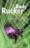 Postsingular - ebook