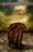 (Per)versiones. Historia - ebook - epub - avance --/10/10